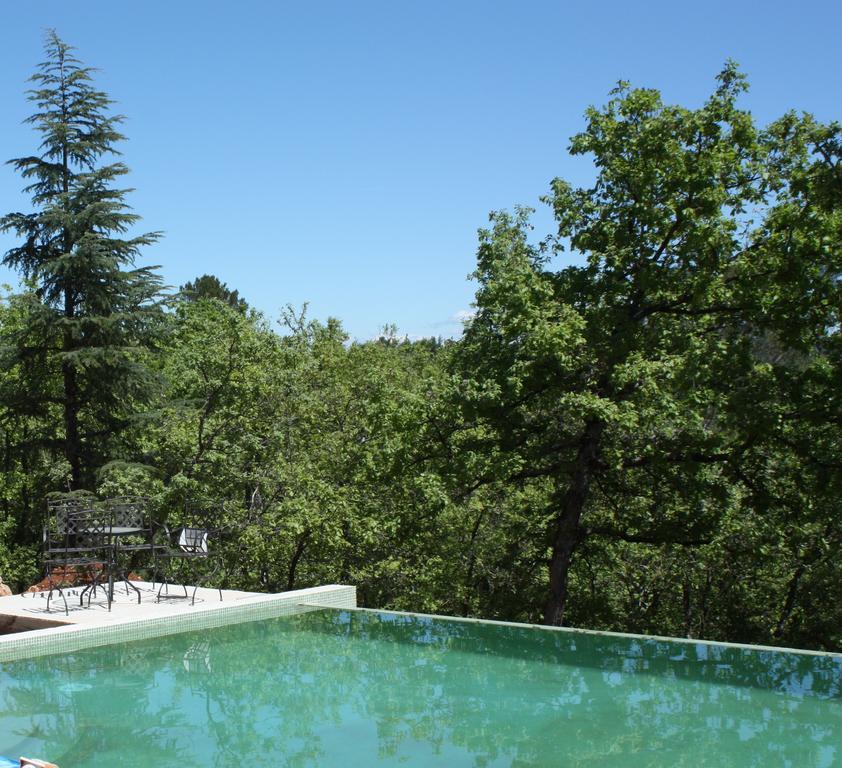Sous Les Oliviers - Piscine Chauffee - Studios De Standing Tout-Equipes Saint-Maximin Pokoj fotografie