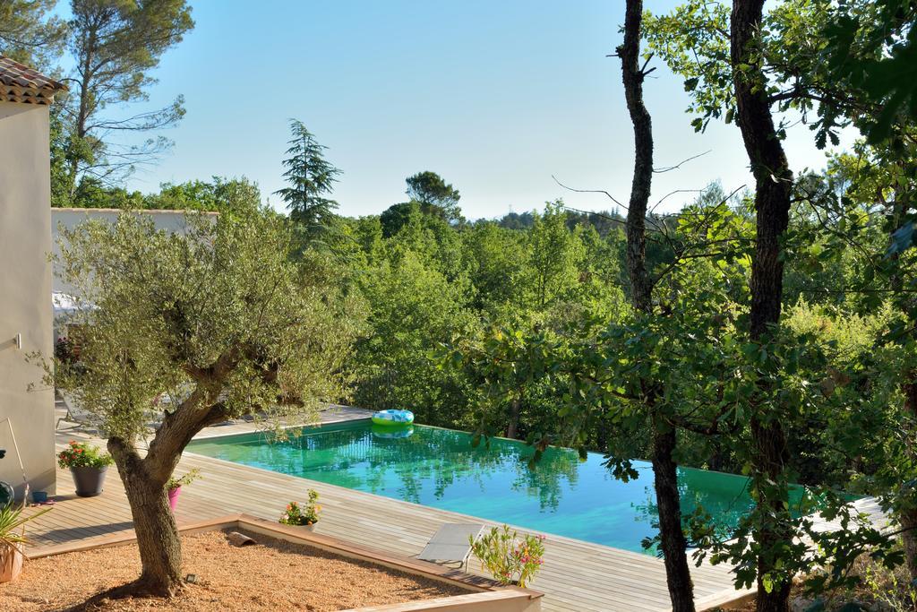 Sous Les Oliviers - Piscine Chauffee - Studios De Standing Tout-Equipes Saint-Maximin Exteriér fotografie
