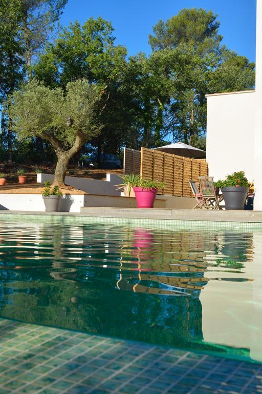 Sous Les Oliviers - Piscine Chauffee - Studios De Standing Tout-Equipes Saint-Maximin Exteriér fotografie