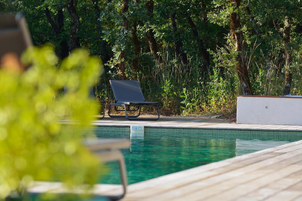 Sous Les Oliviers - Piscine Chauffee - Studios De Standing Tout-Equipes Saint-Maximin Exteriér fotografie