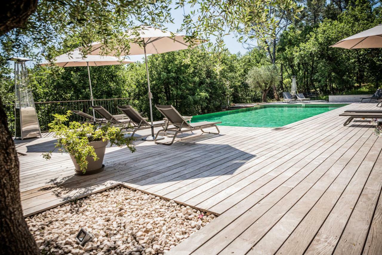 Sous Les Oliviers - Piscine Chauffee - Studios De Standing Tout-Equipes Saint-Maximin Exteriér fotografie